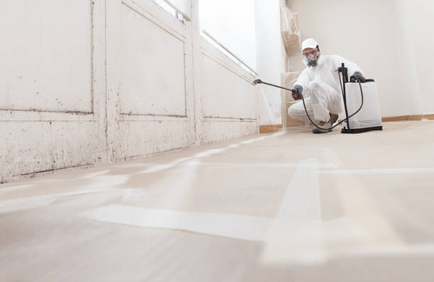 24/7 Emergency Mold Removal experts in Wharton, NJ